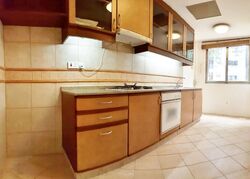 Cavenagh Lodge (D9), Apartment #525328331
